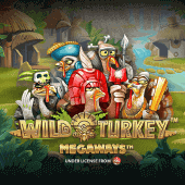 Pavo Salvaje Megaways game cover